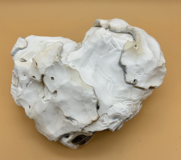 Preview: Achatknolle